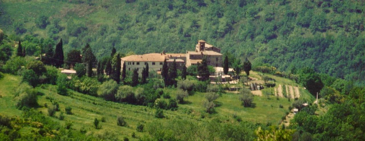 Agriturismo San Lorenzo Della Rabatta Cenerente Exteriér fotografie